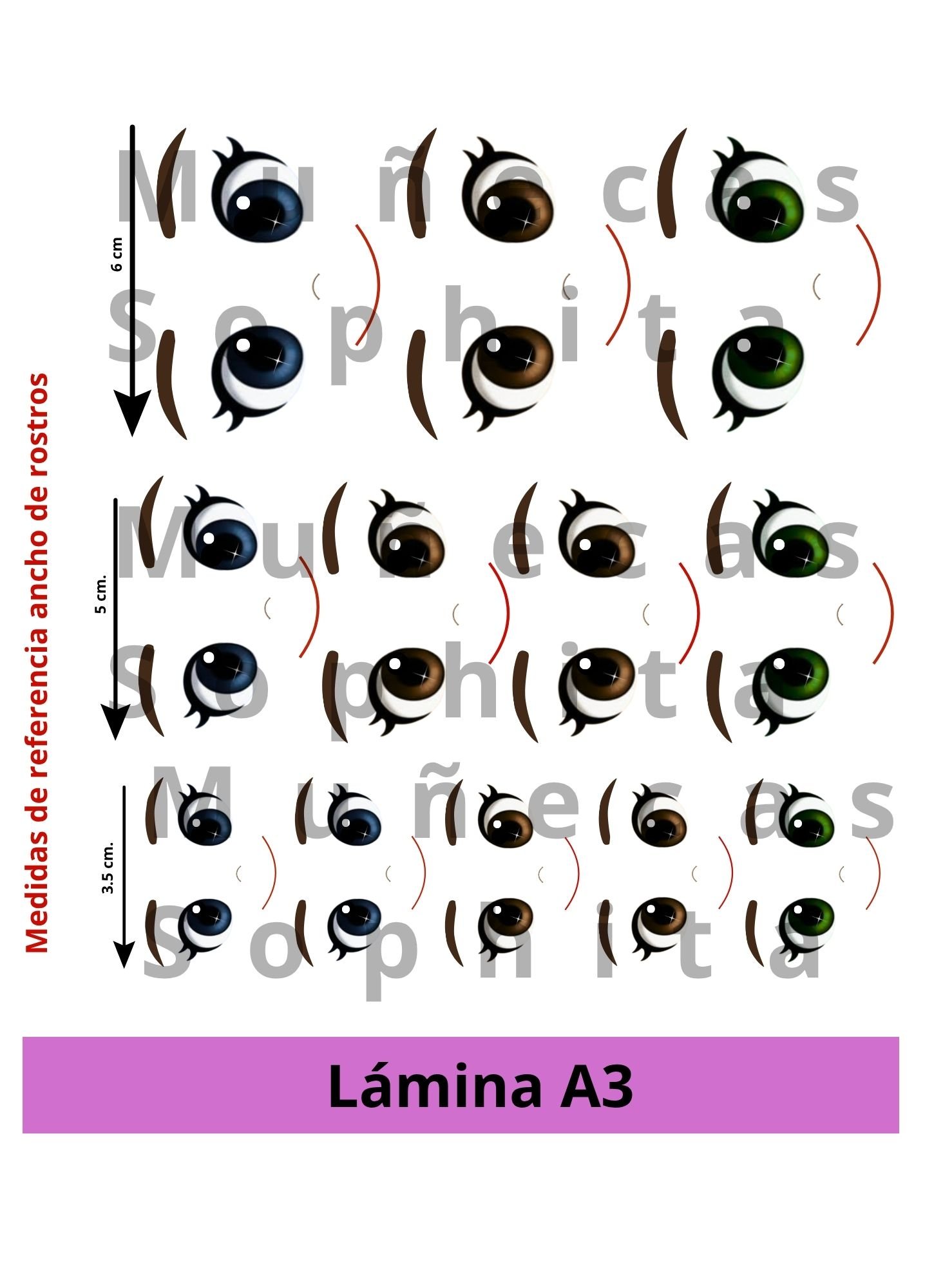 Lámina A3 - Imagen 2